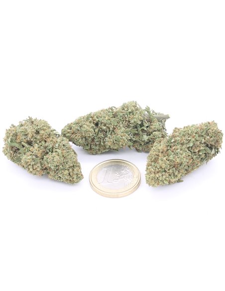 Super Skunk