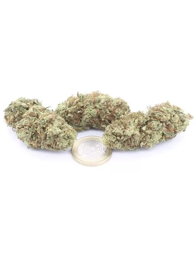 Limón Haze 2