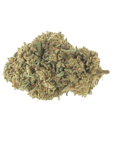 critical