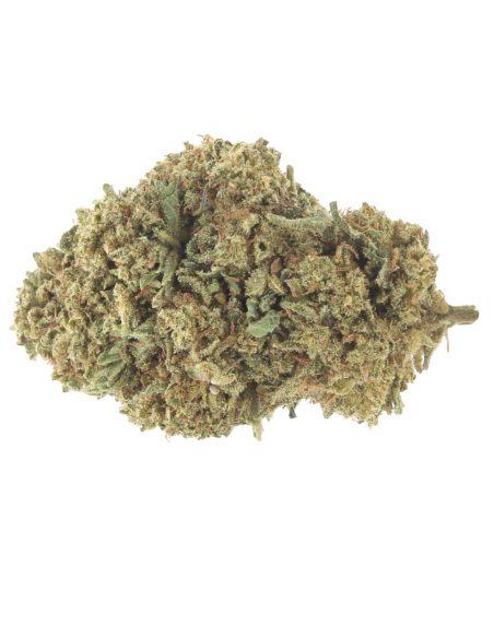 critical