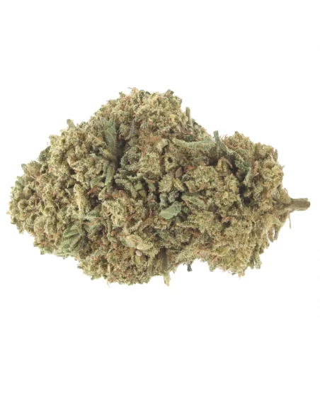 critical