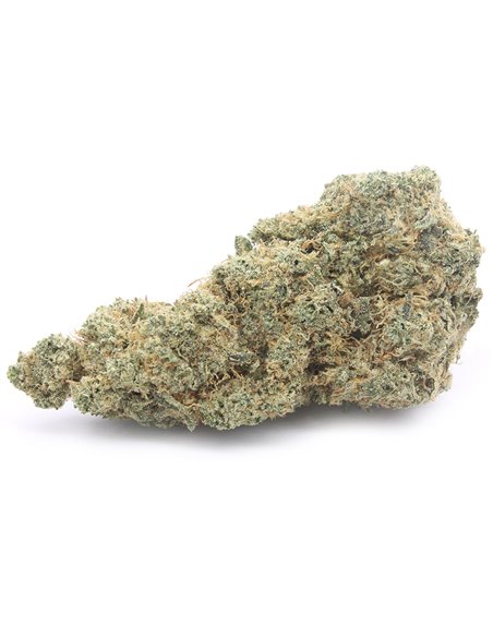 Gorilla Glue