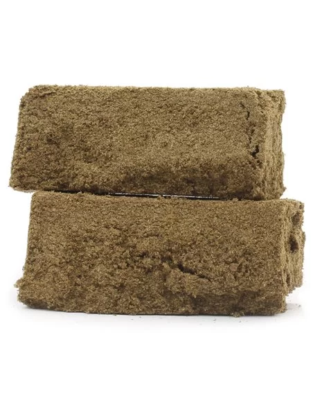 Acti-kief CBG