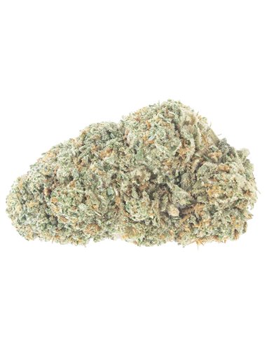 Northern Lights