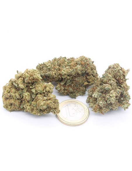 Amnesia Haze