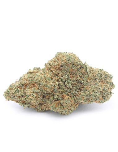 OG Kush