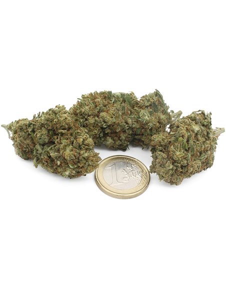 Super Skunk