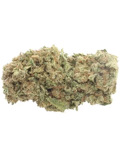 orange bud doypack 2