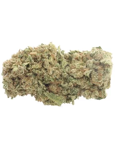 Orange Bud Orange Bud