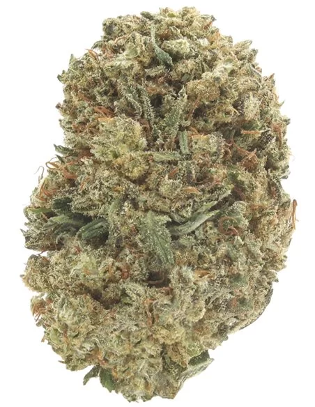 Super Skunk