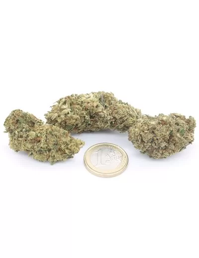 Super Skunk 2