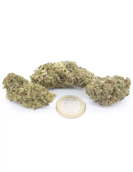 Super Skunk Super Skunk