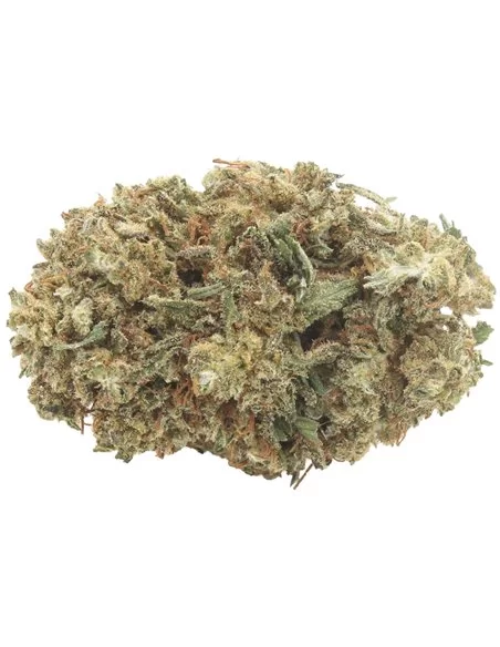 Super Skunk Super Skunk