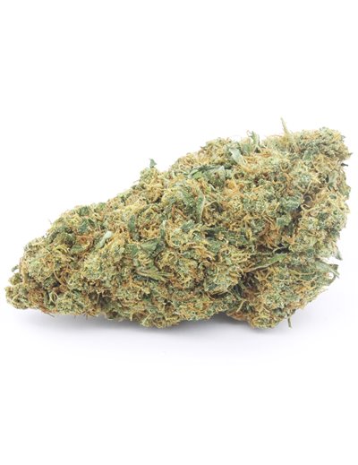 gelato 41 doypack 2