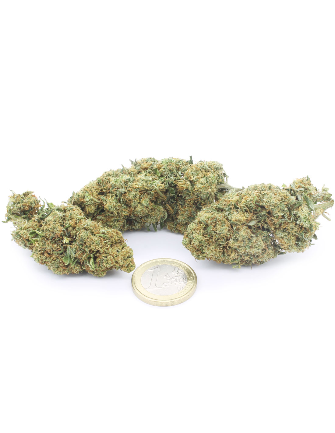 Gelato 41 Indoor Gelato 41 Indoor