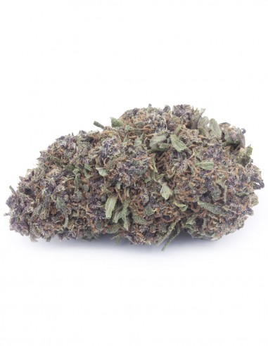 blueberry pie blueberry pie