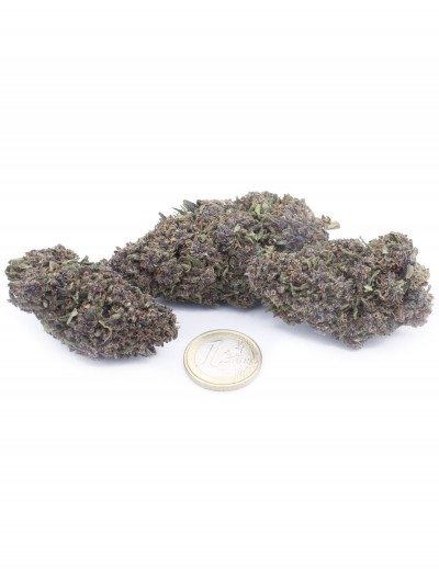 blueberry pie 2