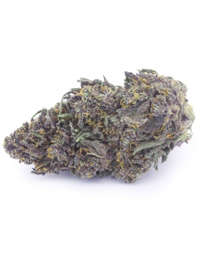 purple queen