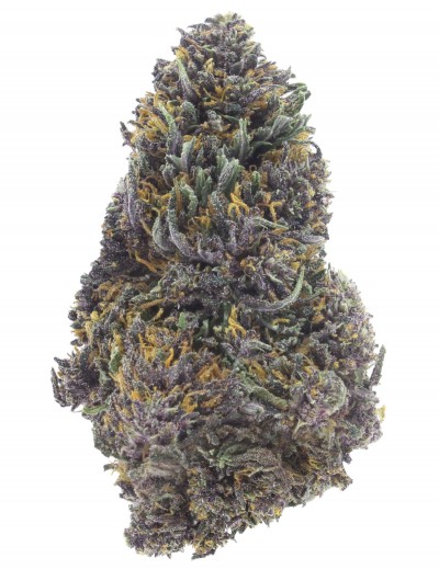 purple queen doypack 2