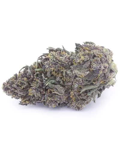 purple queen doypack 2