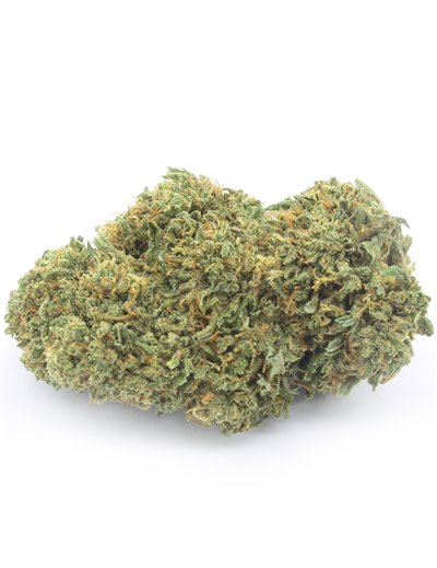 orange bud doypack 2