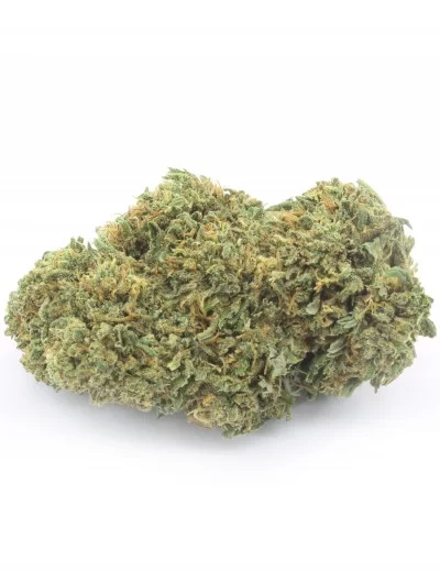 orange bud doypack 2