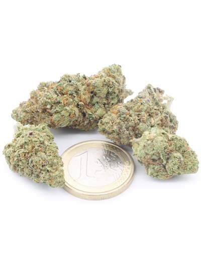 Girl Scout Cookies 2