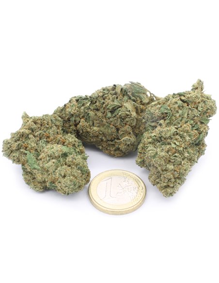 Amnesia Haze