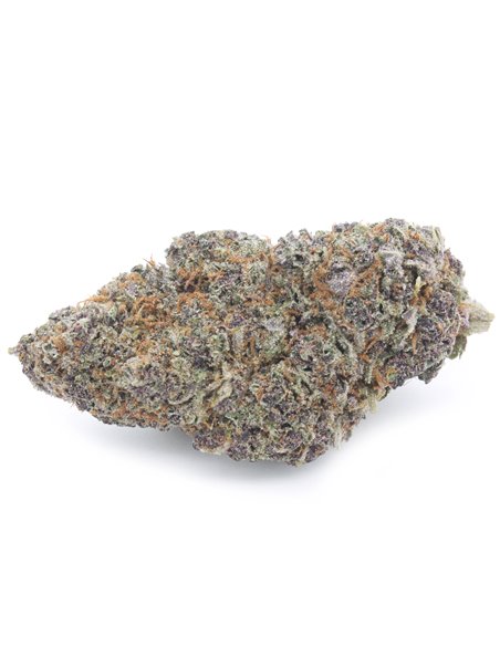 Runtz Muffin Indoor