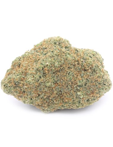Gorilla Glue