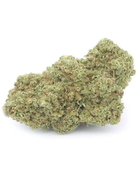CBD Therapy