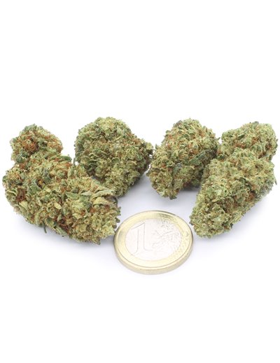 Super Lemon Zest 2
