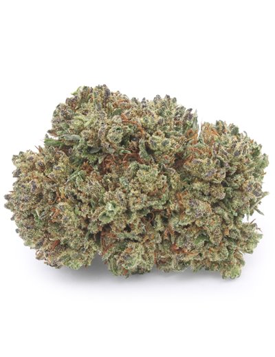 critical+ doypack 2