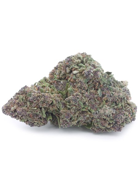 OG Kush