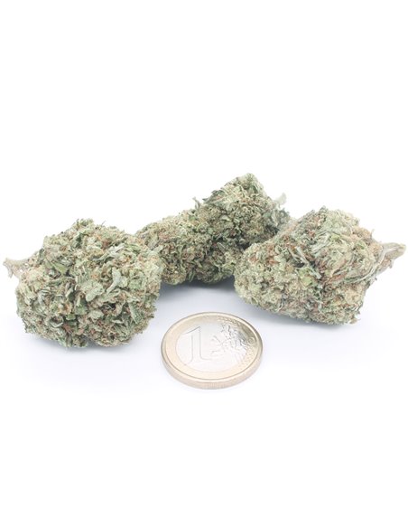 Super Skunk