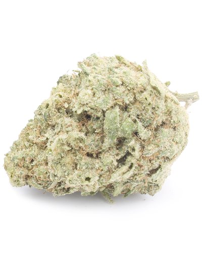 white widow doypack 2