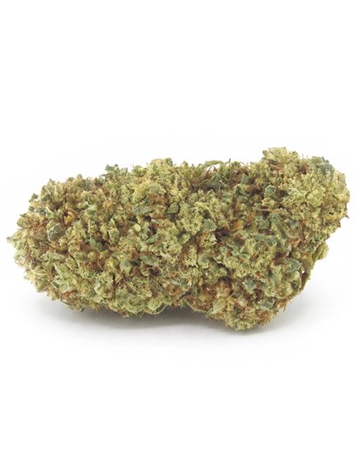 lemon haze doypack 2